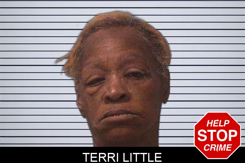 Terri Little Mugshots