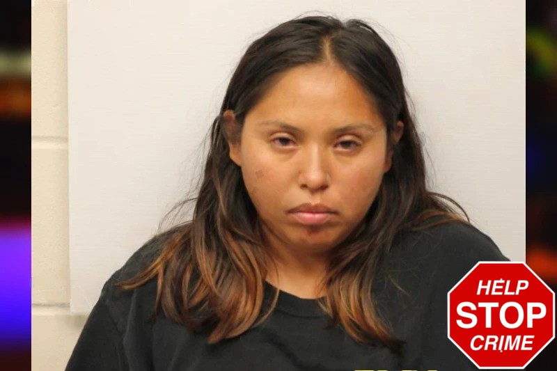 Terri Perez mugshot – Chatham County , Georgia Terri Perez mugshot