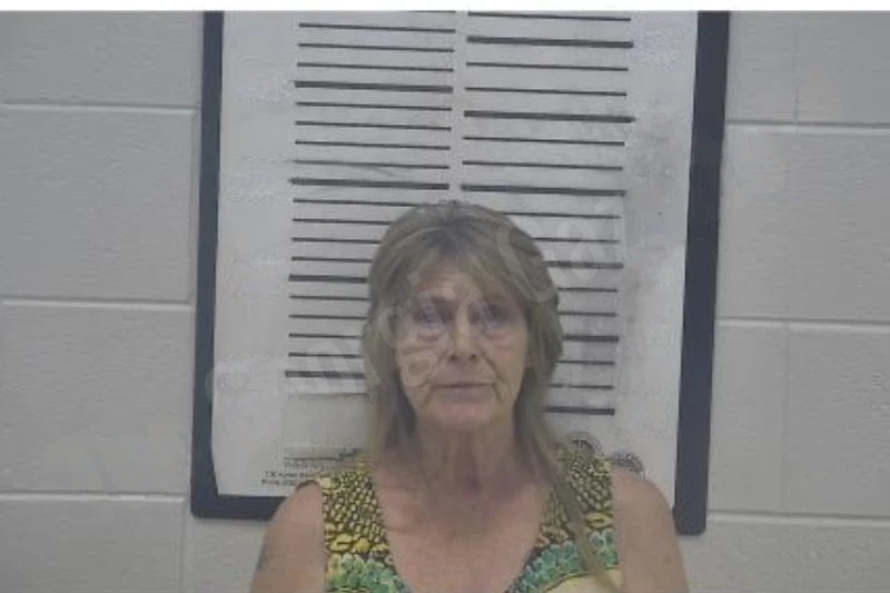 Terri Stallard Mugshots