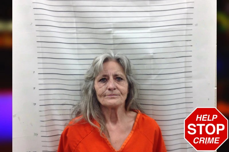 Terri West Mugshots