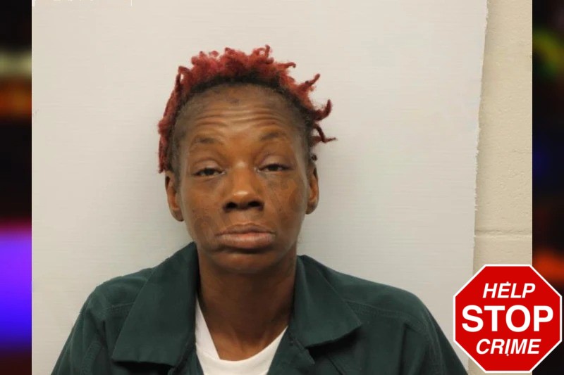 Terrica Jordan Mugshots