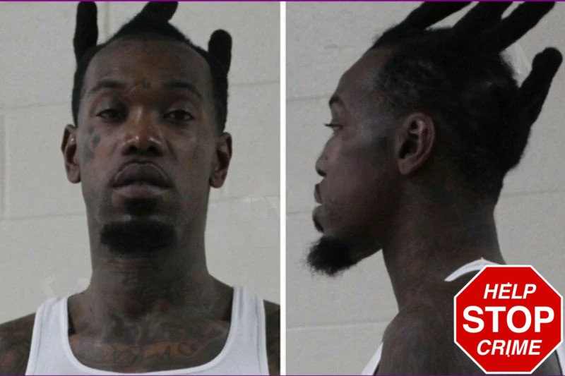 Terry Jackson mugshot – Houston County , Georgia Terry Jackson mugshot