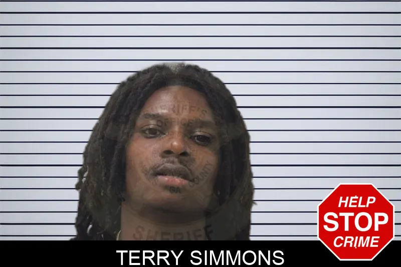 Terry Simmons Mugshots