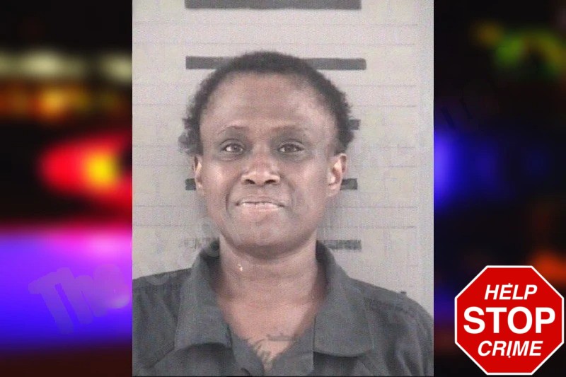 Tessa Soilberry mugshot – Dougherty County , Georgia Tessa Soilberry mugshot