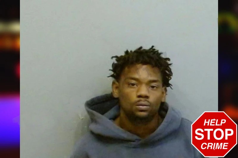 Theadra Austin Mugshots