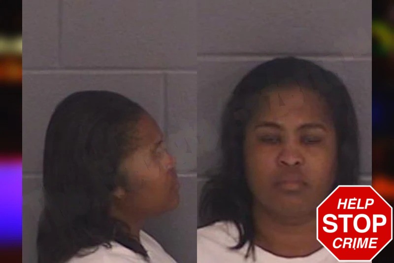 Thereasa Ferdinand Mugshots