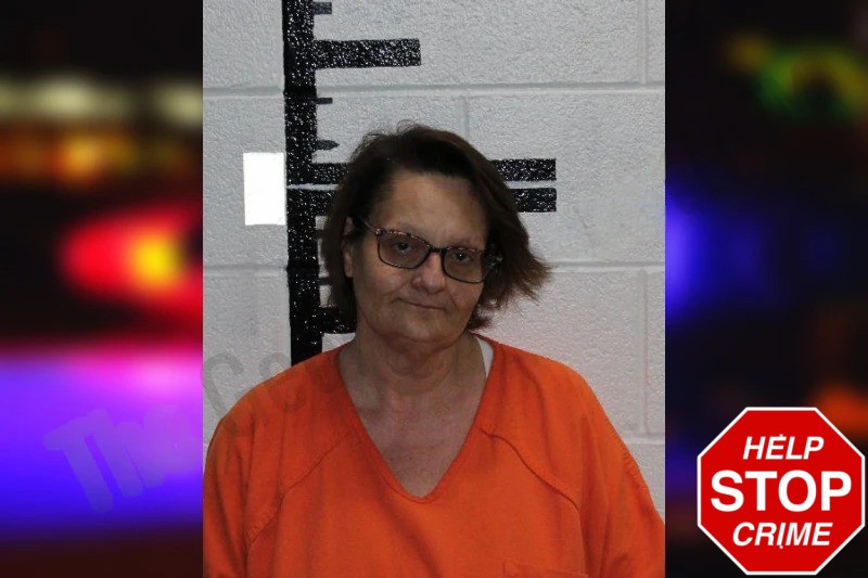 Theresa Bajkowski Mugshots