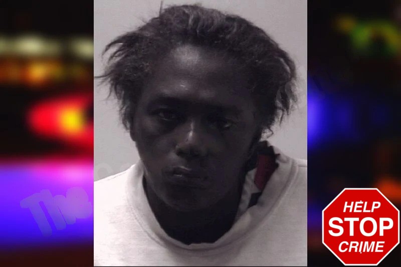 Theresa High Mugshots