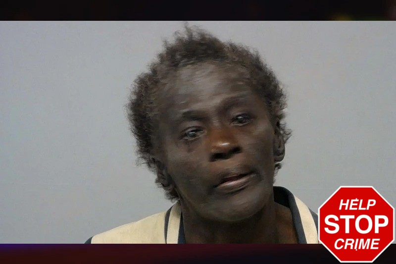 Theresa High Mugshots