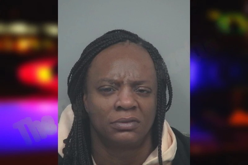 Theresa Lattimore Mugshots