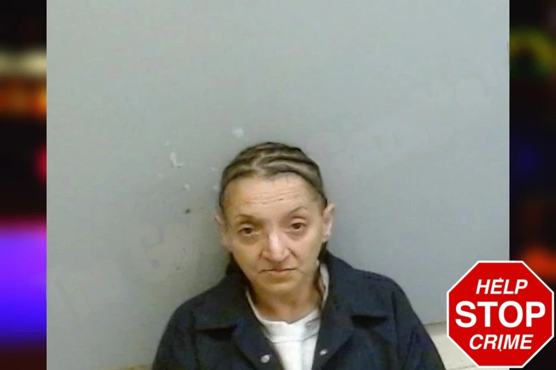 Theresa Nieves Mugshots