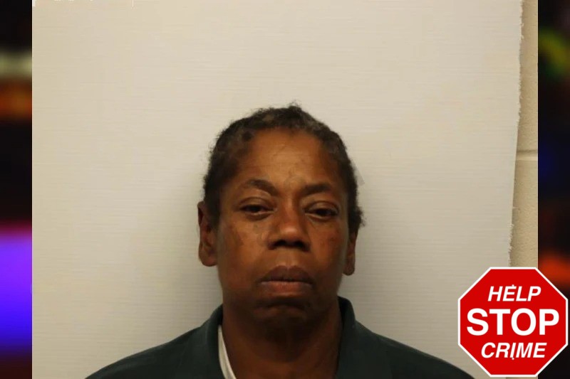 Theresa Raines Mugshots