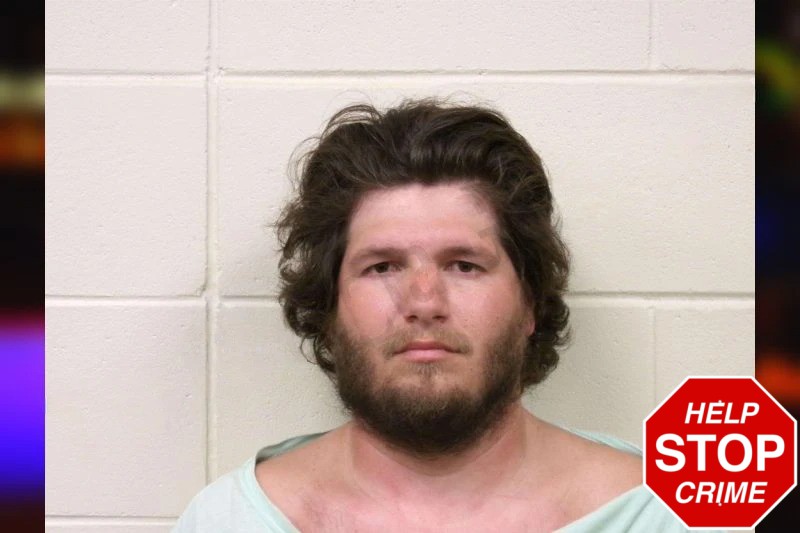 Thomas Hagan mugshot – Bulloch County , Georgia Thomas Hagan mugshot