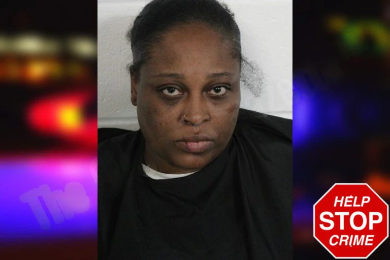 Tiarra Palmer mugshot – Floyd County , Georgia Tiarra Palmer