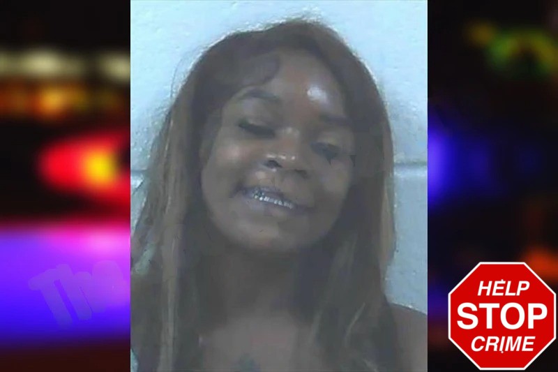 Tichina Dantzler Mugshots