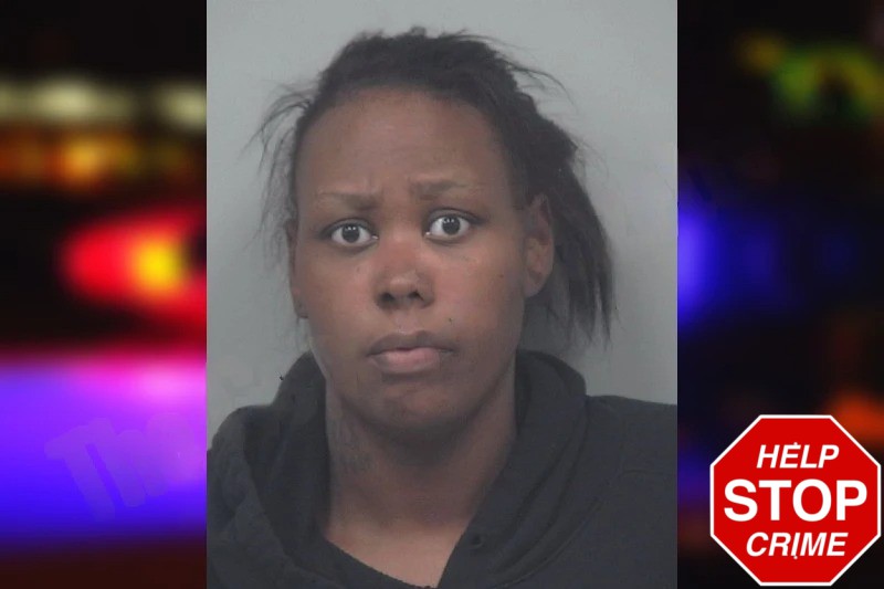 Tiffany Alexander mugshot – Gwinnett County , Georgia Tiffany Alexander mugshot