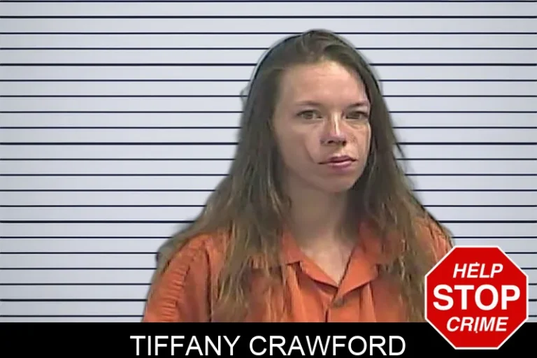 Tiffany Crawford mugshot – Dawson County , Georgia Tiffany Crawford