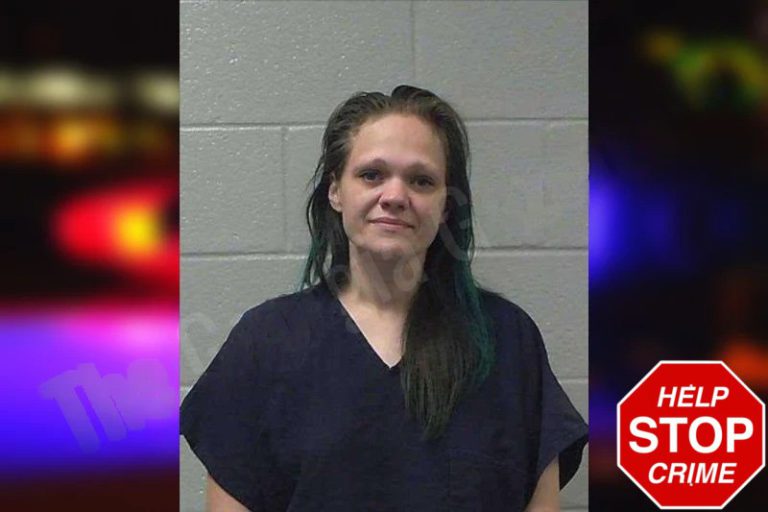 Tiffany Hash mugshot β Gilmer County , Georgia Tiffany Hash