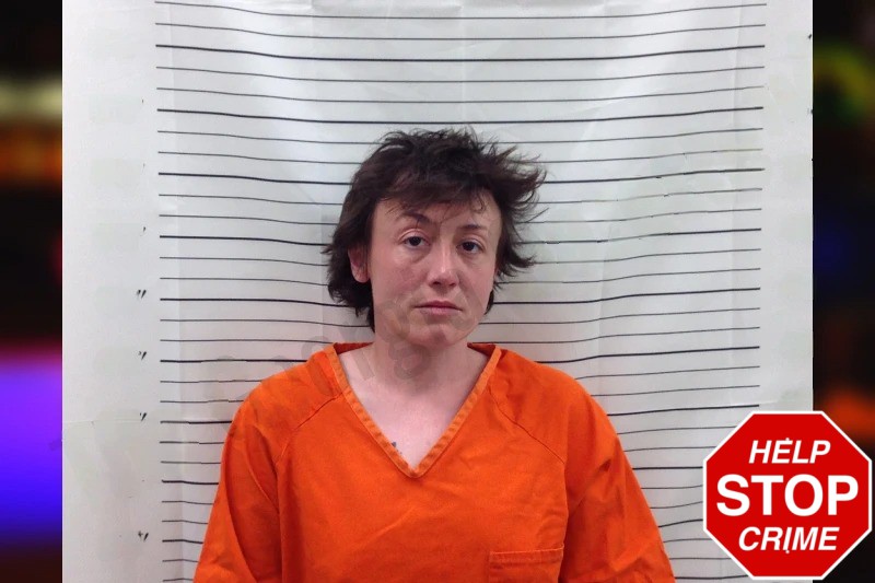 Tiffany Kuzawinski Mugshots