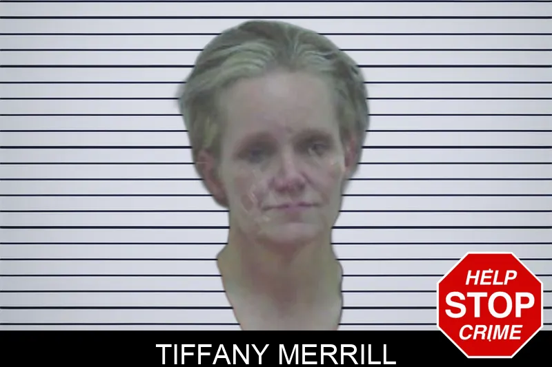 Tiffany Merrill Mugshots