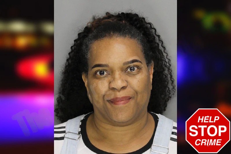 Tiffany Steele Mugshots