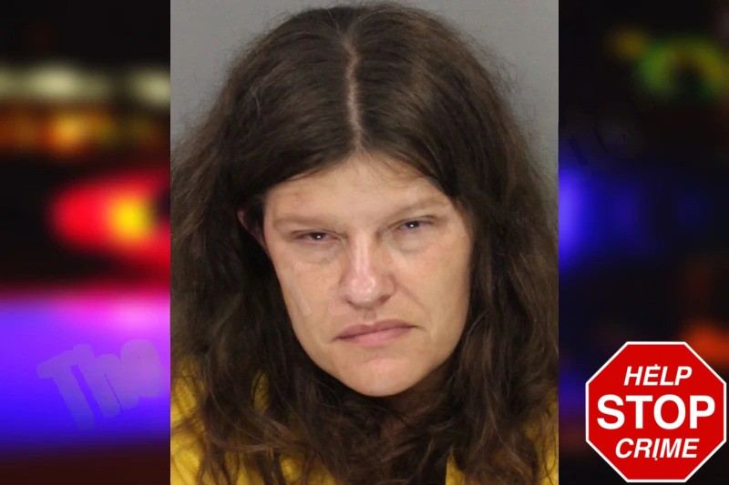 Tiffany Wheeling mugshot