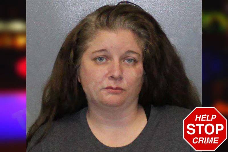 Tiffany Zigenfus mugshot – White County , Georgia Tiffany Zigenfus mugshot