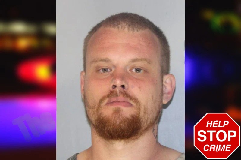 Timothy Bingham Mugshots