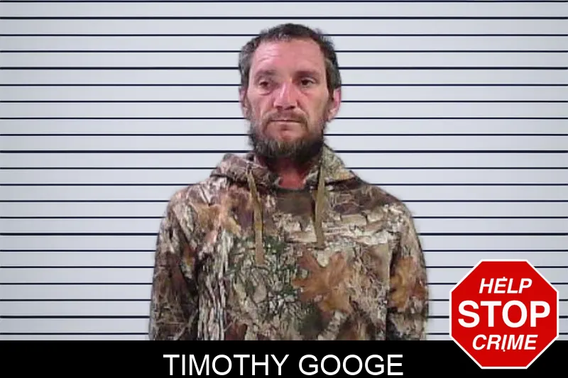 Timothy Googe Mugshots