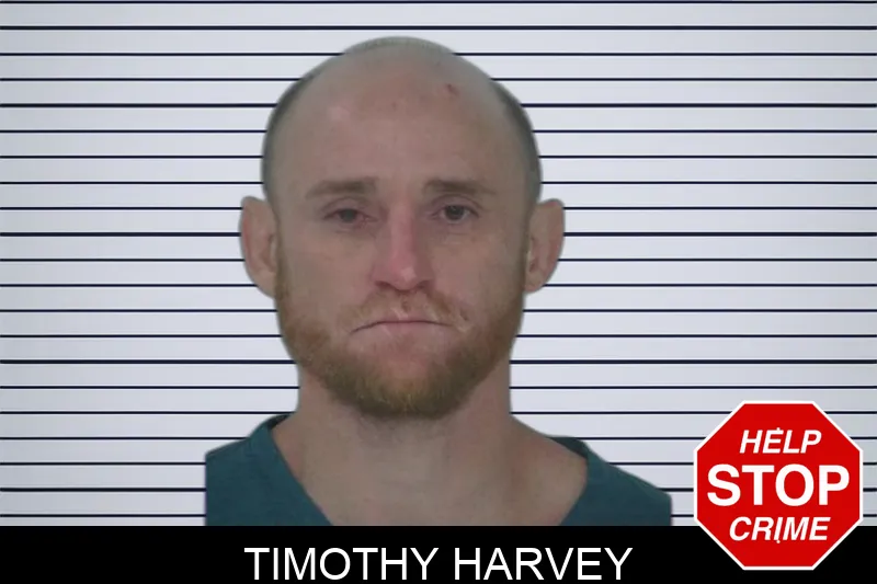 Timothy Harvey Mugshots