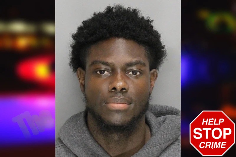 Timothy Longs Mugshots