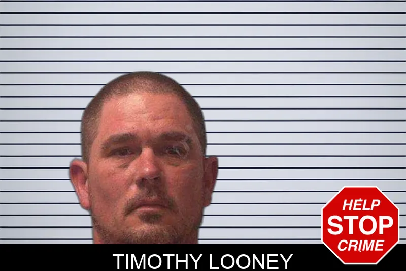 Timothy Looney Mugshots
