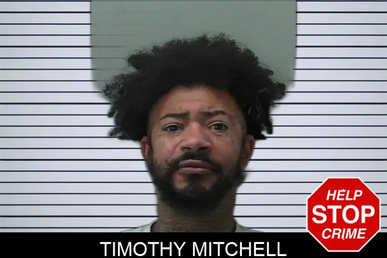 Timothy Mitchell