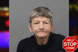 Tina Goodell mugshot