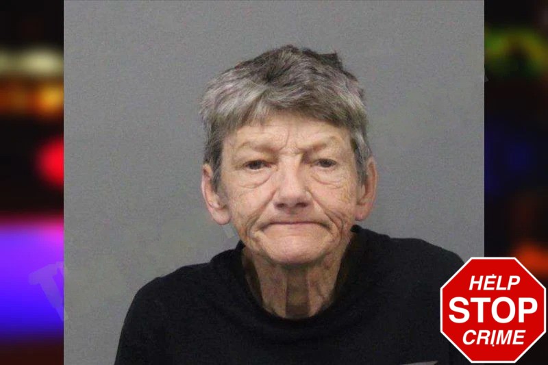 Tina Goodell mugshot