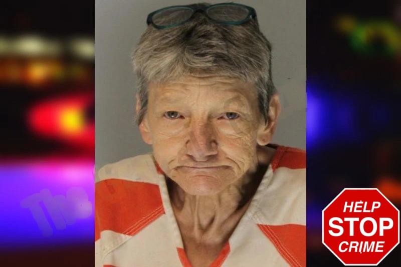 Tina Goodell Mugshots