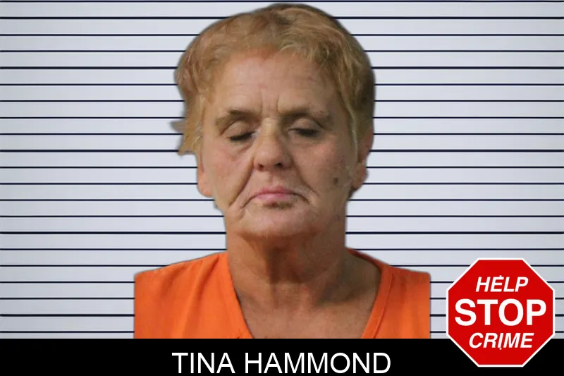 Tina Hammond Mugshots