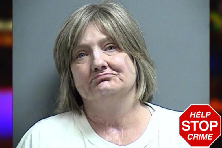 Tina Murray mugshot – Effingham County , Georgia Tina Murray