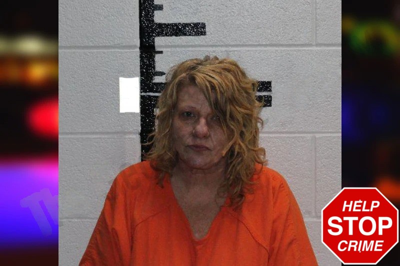 Tina Silvers Mugshots