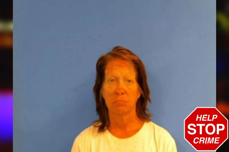 Tina Yerigian Mugshots