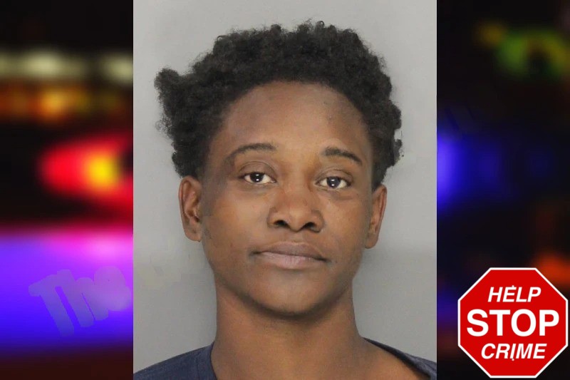 Titania Diggs Mugshots