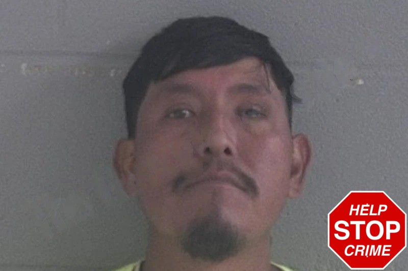 Tomas Nehemias Mugshots