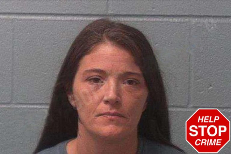 Toni Bruce mugshot – Franklin County , Georgia Toni Bruce
