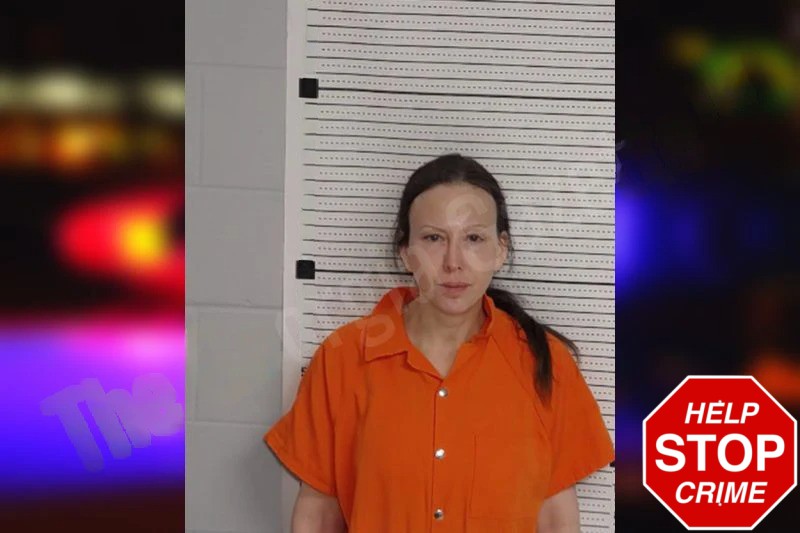 Toni Millikan Mugshots