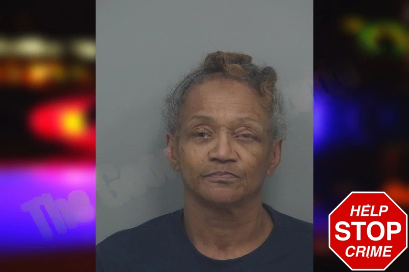 Tonia Gaines Mugshots