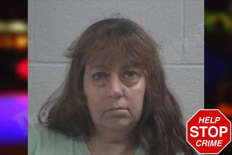 Tonya Hawkins mugshot – McDuffie County , Georgia Tonya Hawkins