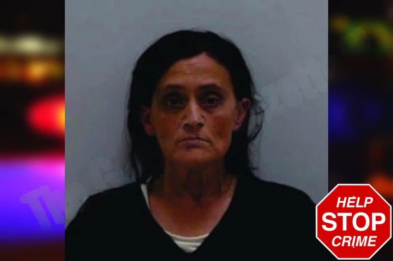 Tonya Huskins mugshot – Bartow County , Georgia Tonya Huskins mugshot