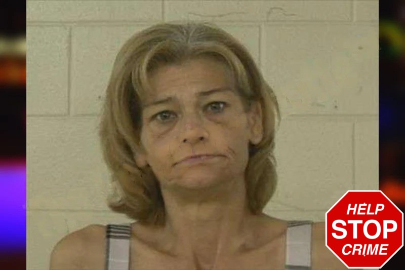 Tonya Lyle-Adams mugshot