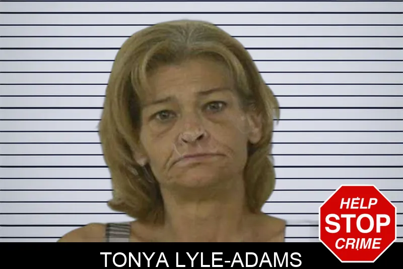 Tonya Lyle-Adams mugshot – Liberty County , Georgia Tonya Lyle-Adams mugshot