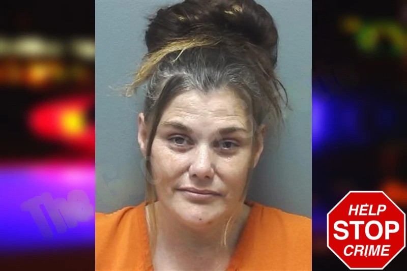 Tonya Wilder Mugshots